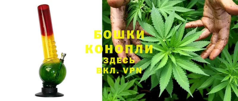 где купить наркоту  это наркотические препараты  МАРИХУАНА Bruce Banner  Сорск 